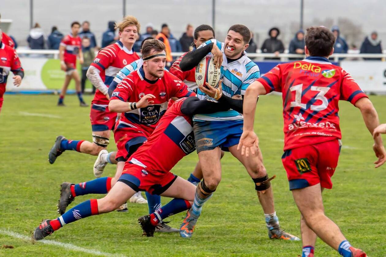, Rugby. Fédérale 2 : l’histoire se répète pour Plouzané, battu de peu par Antony