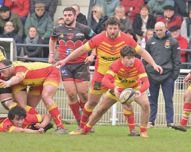 Froment&egrave;ze tr&egrave;s actif derri&egrave;re sa m&ecirc;l&eacute;e